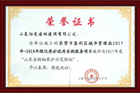 2-榮譽(yù)證書(shū)  2017 年 9月