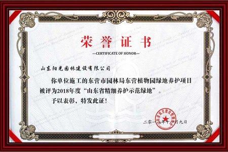 11-榮譽(yù)證書(shū)