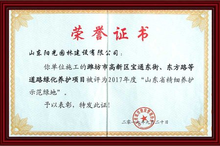 6榮譽(yù)證書(shū) 2017 年9月