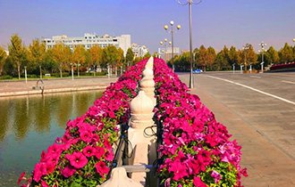 匠心鑄就精品 專業(yè)締造美好|陽光園林"特色項(xiàng)目"驚艷亮相